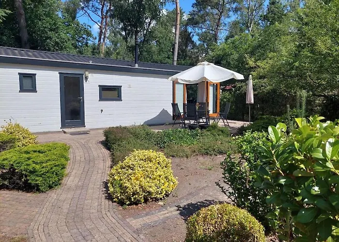 Heerlijk In Prachtige Natuur. * Doornspijk